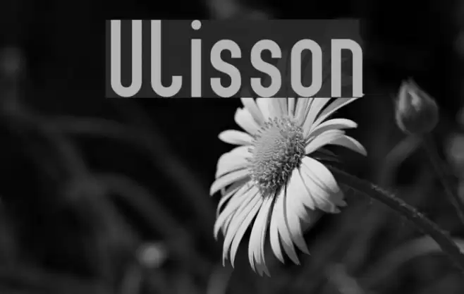 Ulisson Font examples