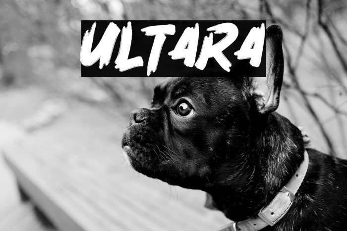 Ultara Example 3