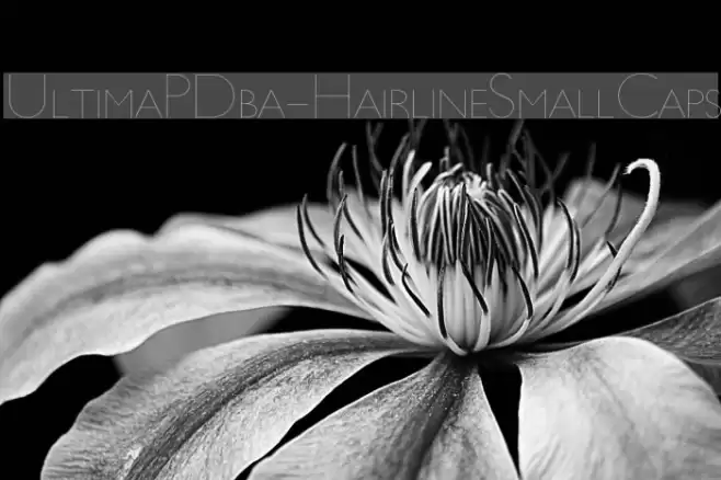 UltimaPDba-HairlineSmallCaps Font examples