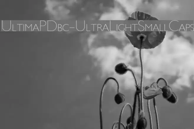 UltimaPDbc-UltraLightSmallCaps Font examples