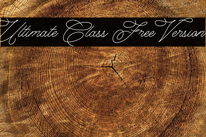 Ultimate Class Free Version Example 1