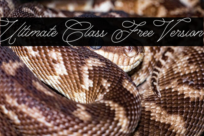 Ultimate Class Free Version Example 3