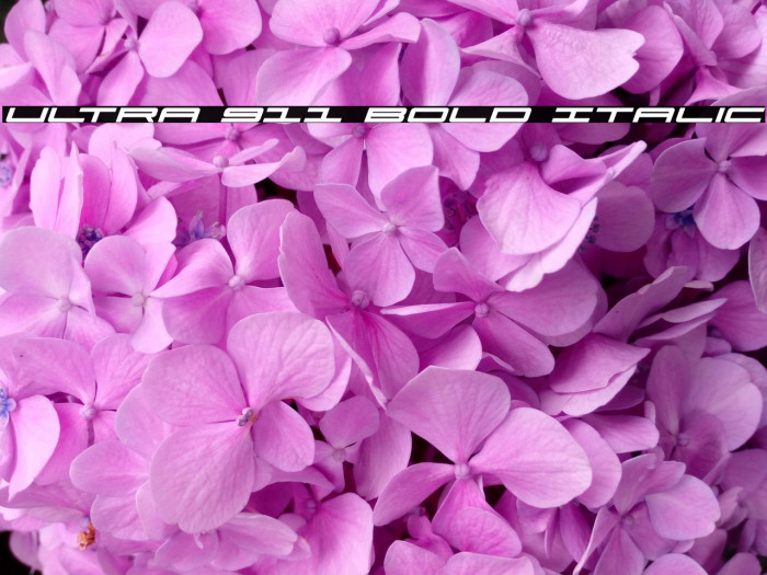 Ultra 911 Bold Italic Example 3
