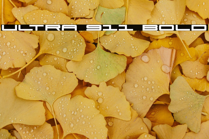 Ultra 911 Bold Example 3