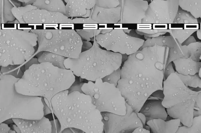 Ultra 911 Bold Font examples