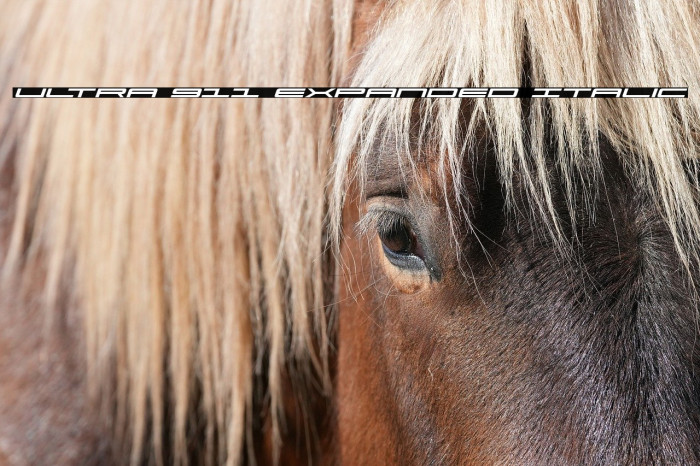 Ultra 911 Expanded Italic Example 1