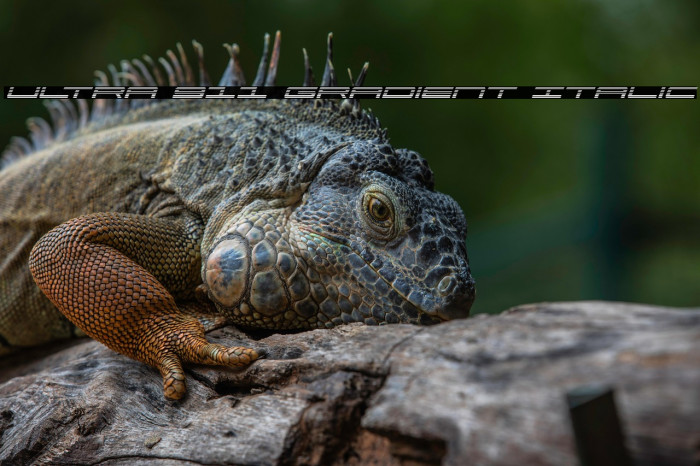 Ultra 911 Gradient Italic Example 3