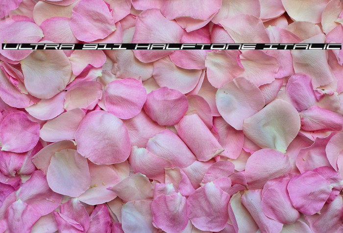 Ultra 911 Halftone Italic Example 3