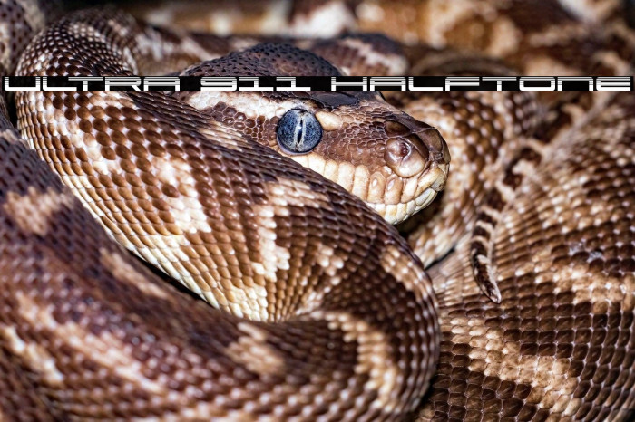 Ultra 911 Halftone Example 1