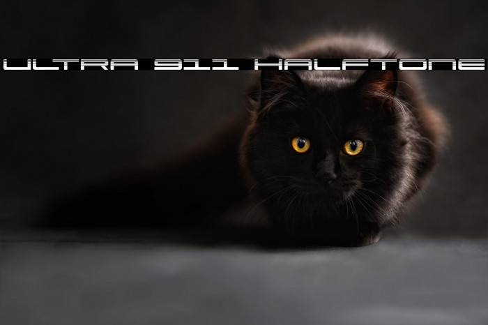 Ultra 911 Halftone Example 2