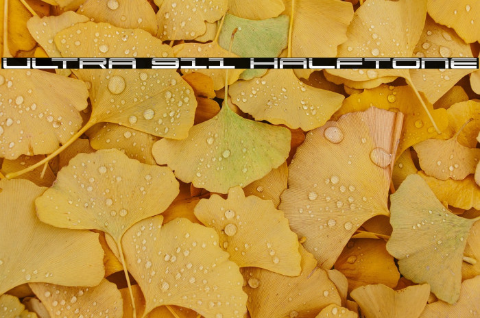 Ultra 911 Halftone Example 3