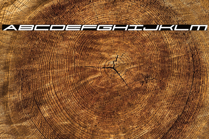 Ultra 911 Italic Example 1