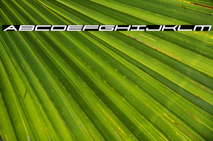 Ultra 911 Italic Example 3