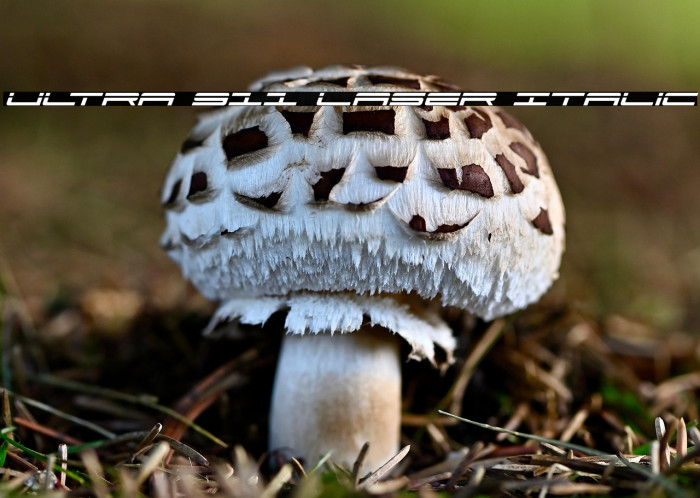 Ultra 911 Laser Italic Example 2