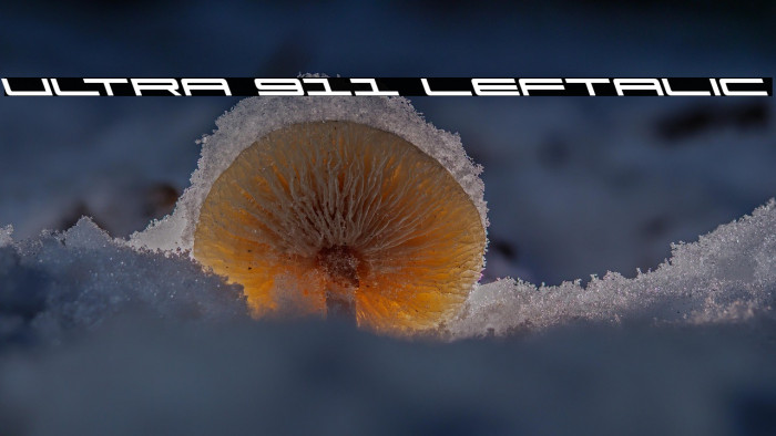 Ultra 911 Leftalic Example 2