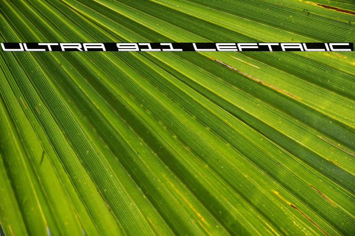 Ultra 911 Leftalic Example 3