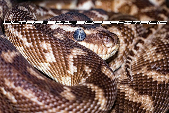 Ultra 911 Super-Italic Example 3