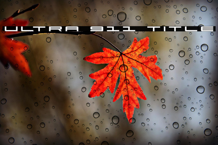 Ultra 911 Title Example 3