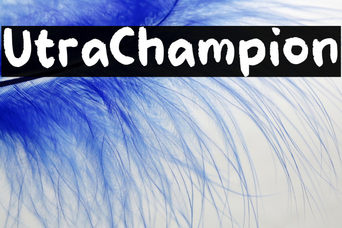 Ultra Champion Example 1