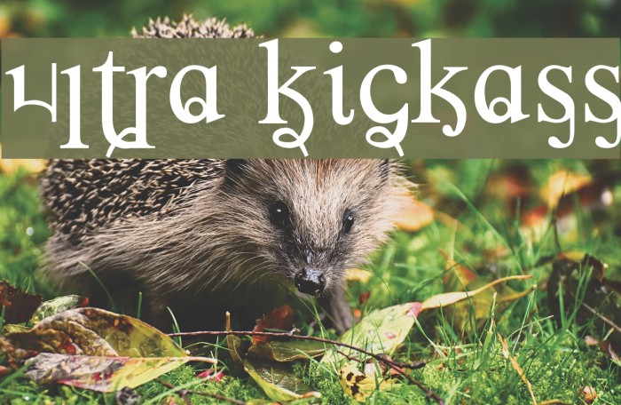 Ultra Kickass Font examples