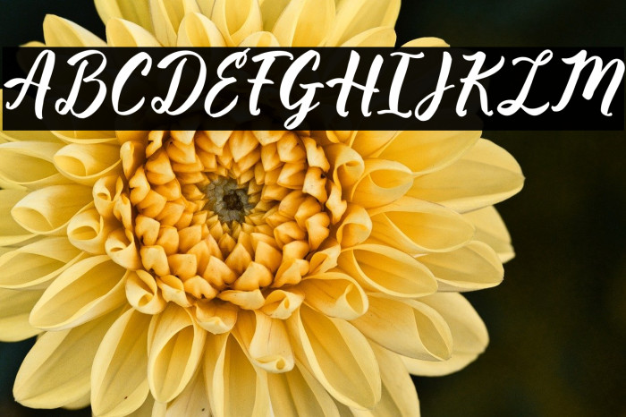 Ultra Smooth Example 2