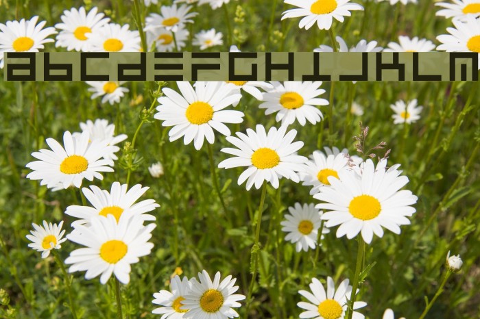 UltraLine Font examples