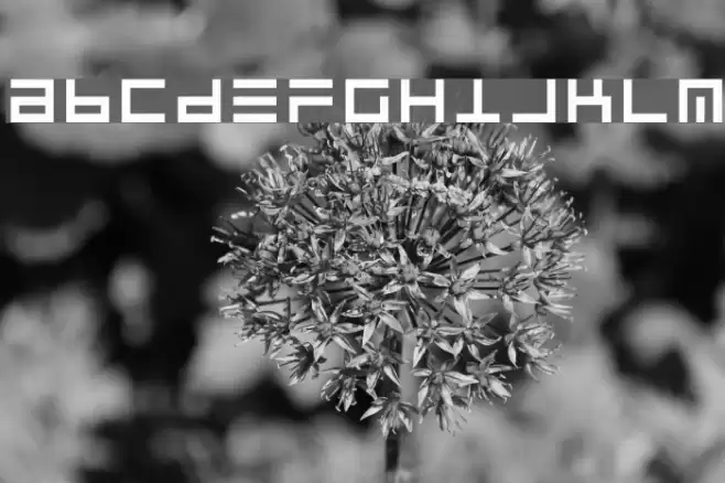 UltraLine Font examples