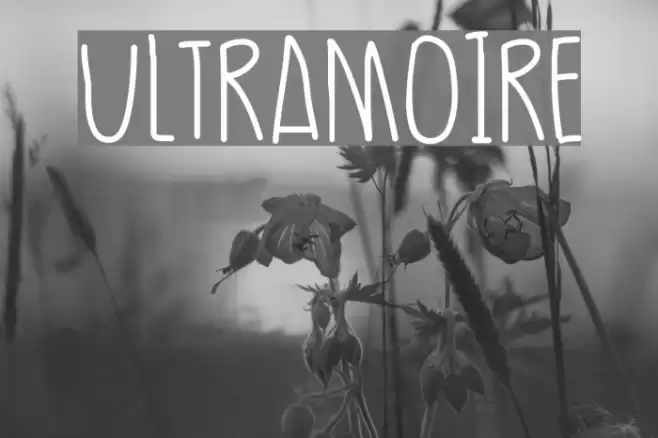 UltraMoire Font examples