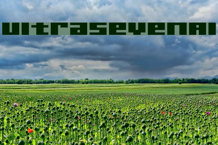 UltraSevenAl Example 1