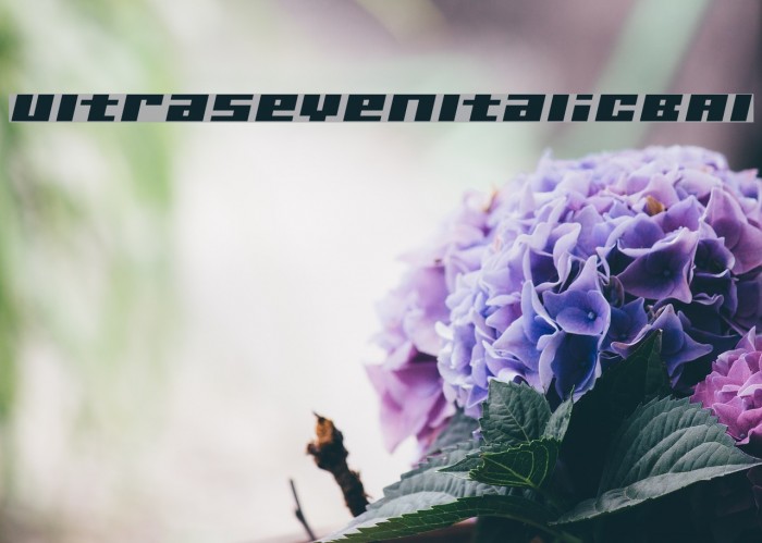 UltraSevenItalicBAl Example 2