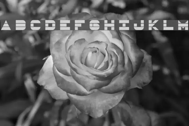 UltraSonic Font examples