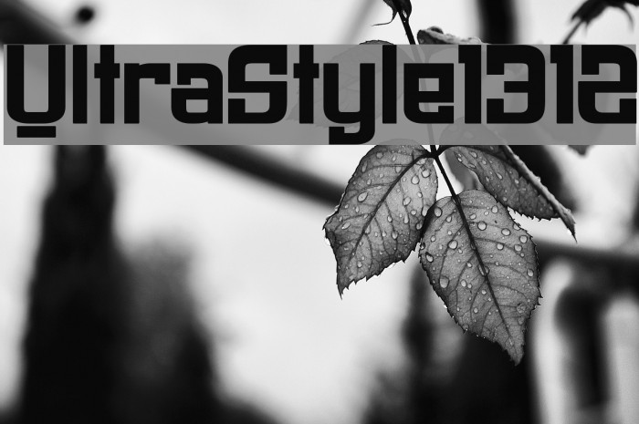 UltraStyle1312 Font examples