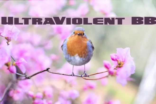 UltraViolent BB Example 3
