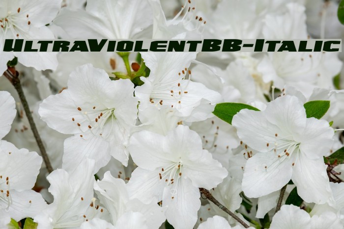 UltraViolentBB-Italic Font examples