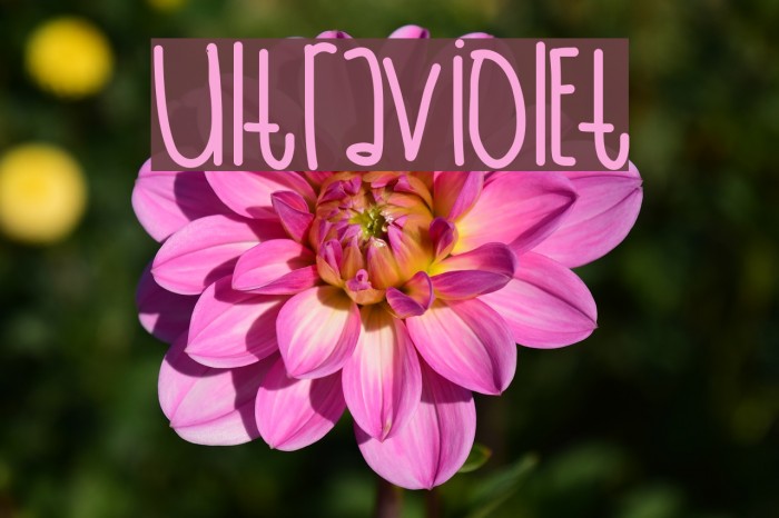 UltraViolet Font examples