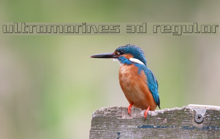 Ultramarines 3D Regular Example 3