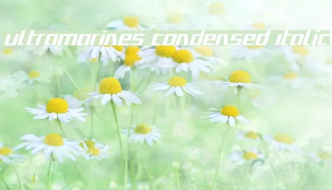 Ultramarines Condensed Italic Example 2
