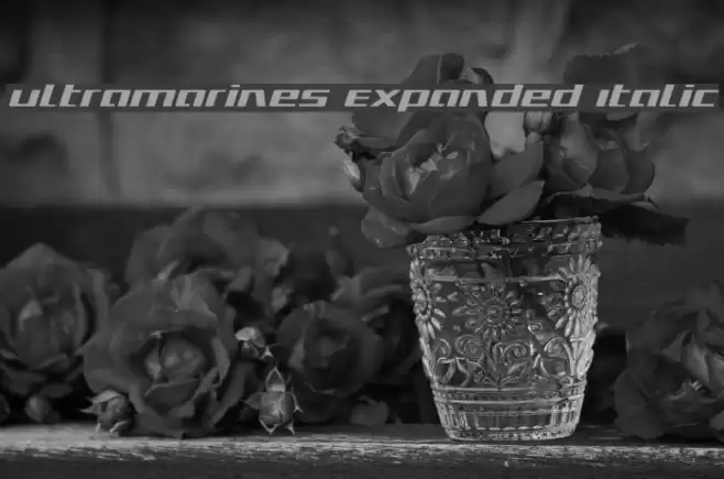 Ultramarines Expanded Italic Font examples