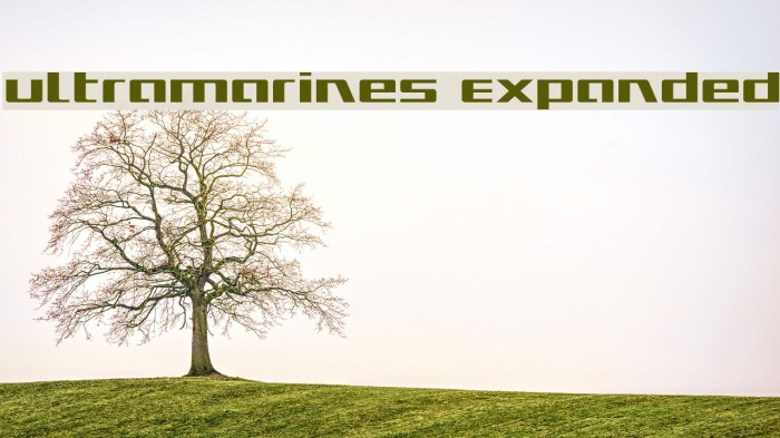 Ultramarines Expanded Example 1