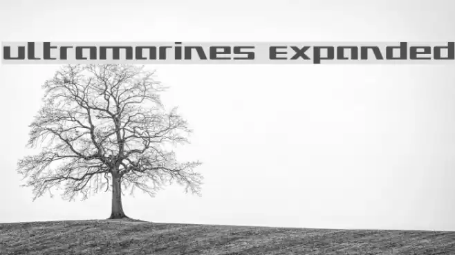 Ultramarines Expanded Font examples