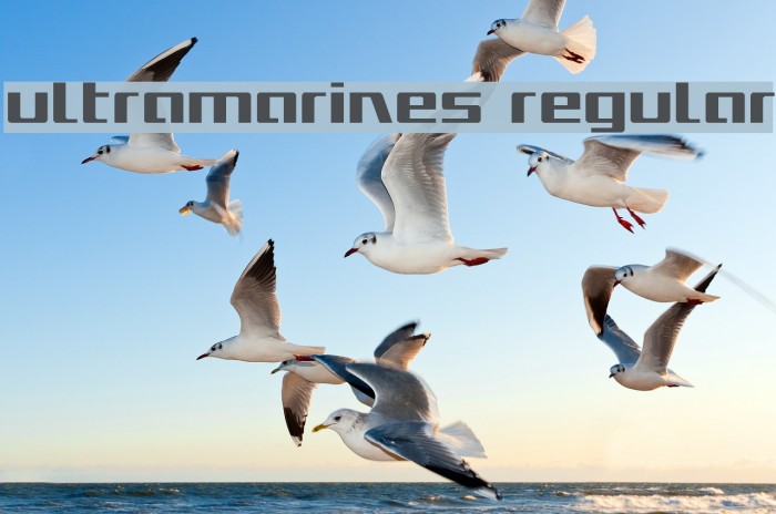 Ultramarines Regular Example 3