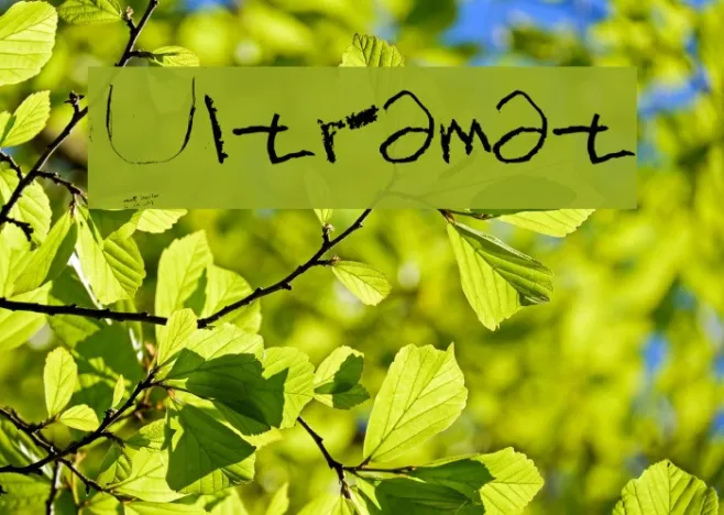 Ultramat Example 1
