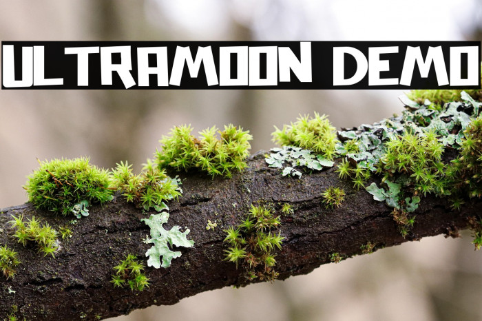 Ultramoon Demo Example 2