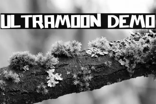 Ultramoon Demo Caratteri examples