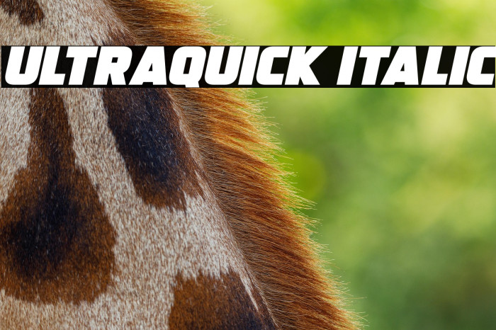 Ultraquick Italic Example 1