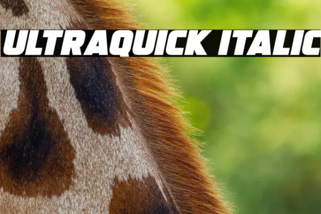 Ultraquick Italic Example 1