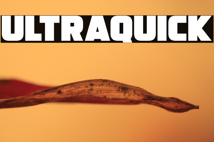 Ultraquick Example 3