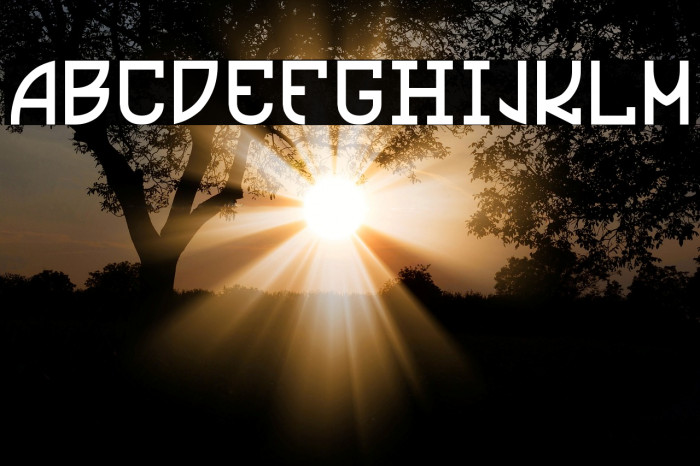 Ultras Liberi Font examples