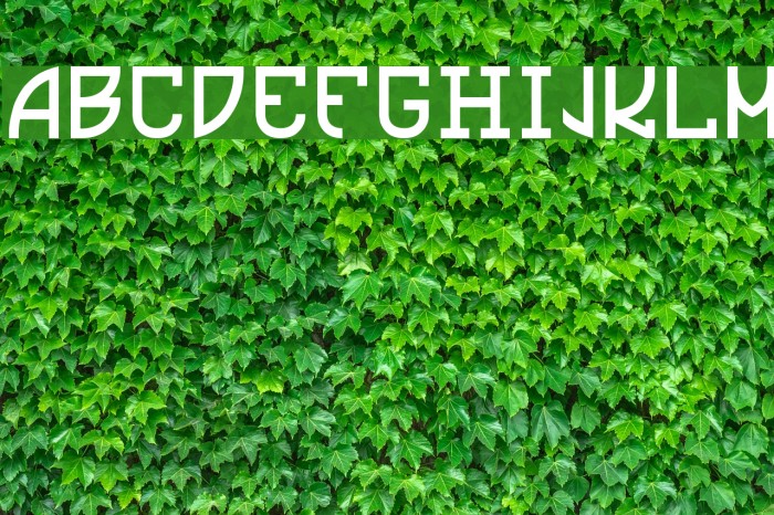 Ultras Liberi Font examples