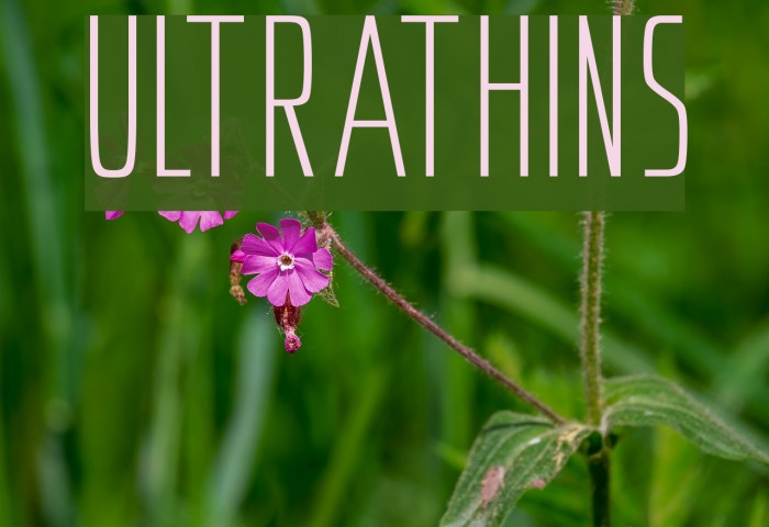 Ultrathins Font - FFonts.net